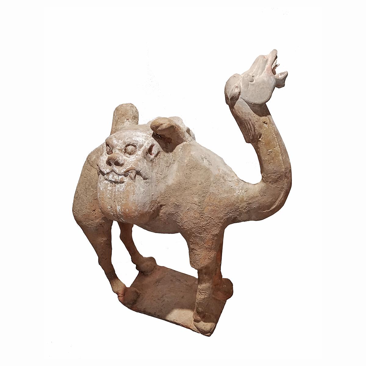 Tang Dynasty Terracotta Camel Sculpture, 1st Century For Sale 4