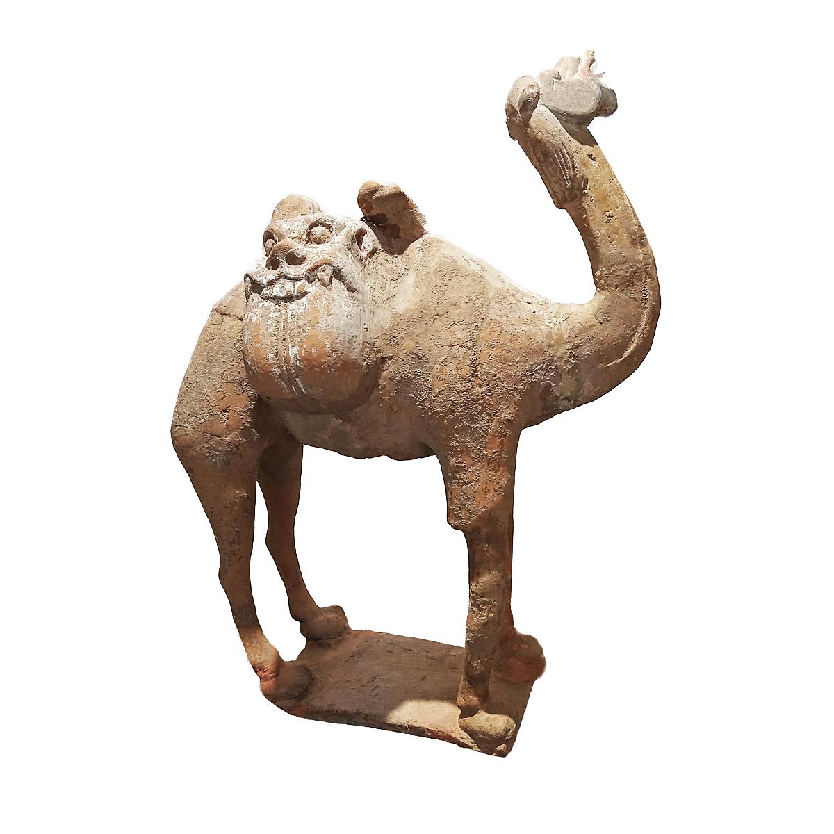 Tang Dynasty Terracotta Camel Sculpture, 1st Century For Sale 6