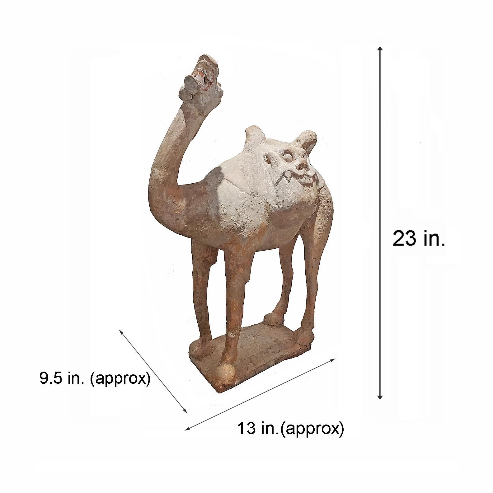 Tang Dynasty Terracotta Camel Sculpture, 1st Century For Sale 7