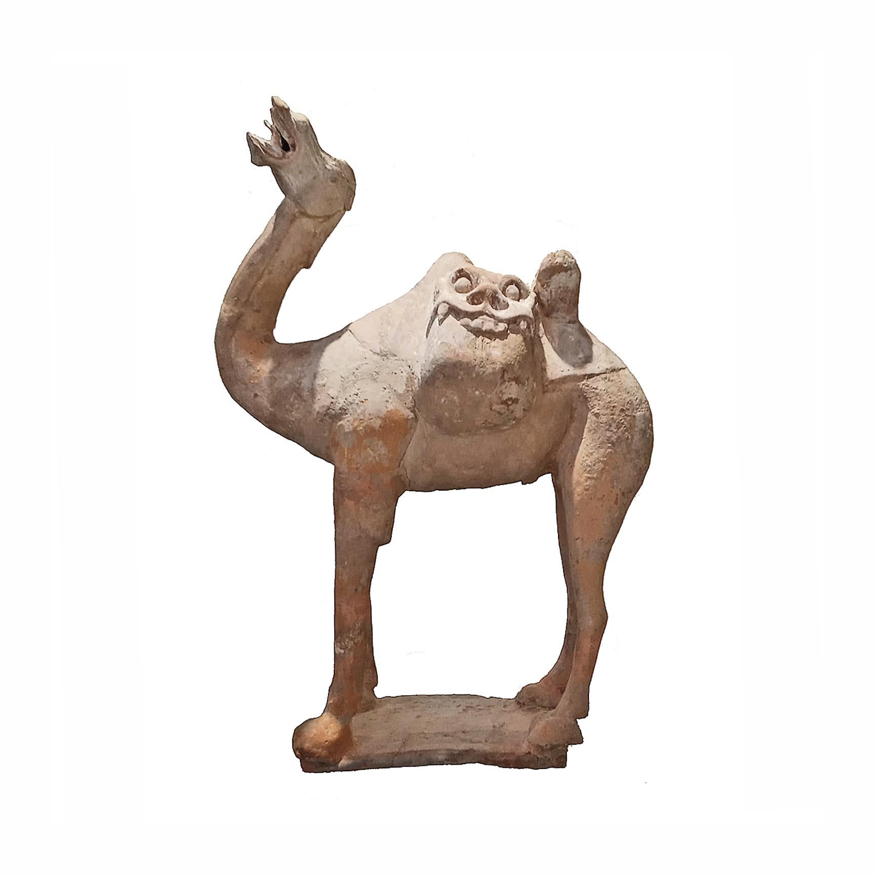 Un chameau chinois en terre cuite de la dynastie Tang.

Pour les habitants de la dynastie chinoise des Tang (618-907), très peu d'animaux étaient aussi...  utile et vénéré comme le cheval et le chameau. Le chameau de Bactriane était utilisé pour