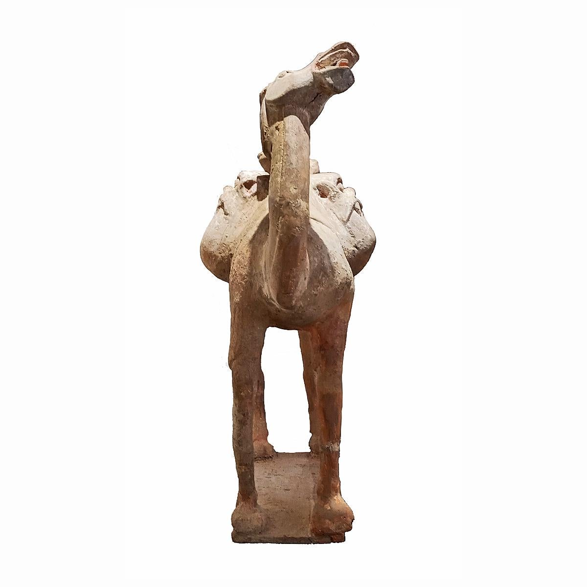 Hand-Crafted Tang Dynasty Terracotta Camel Sculpture, 1st Century For Sale