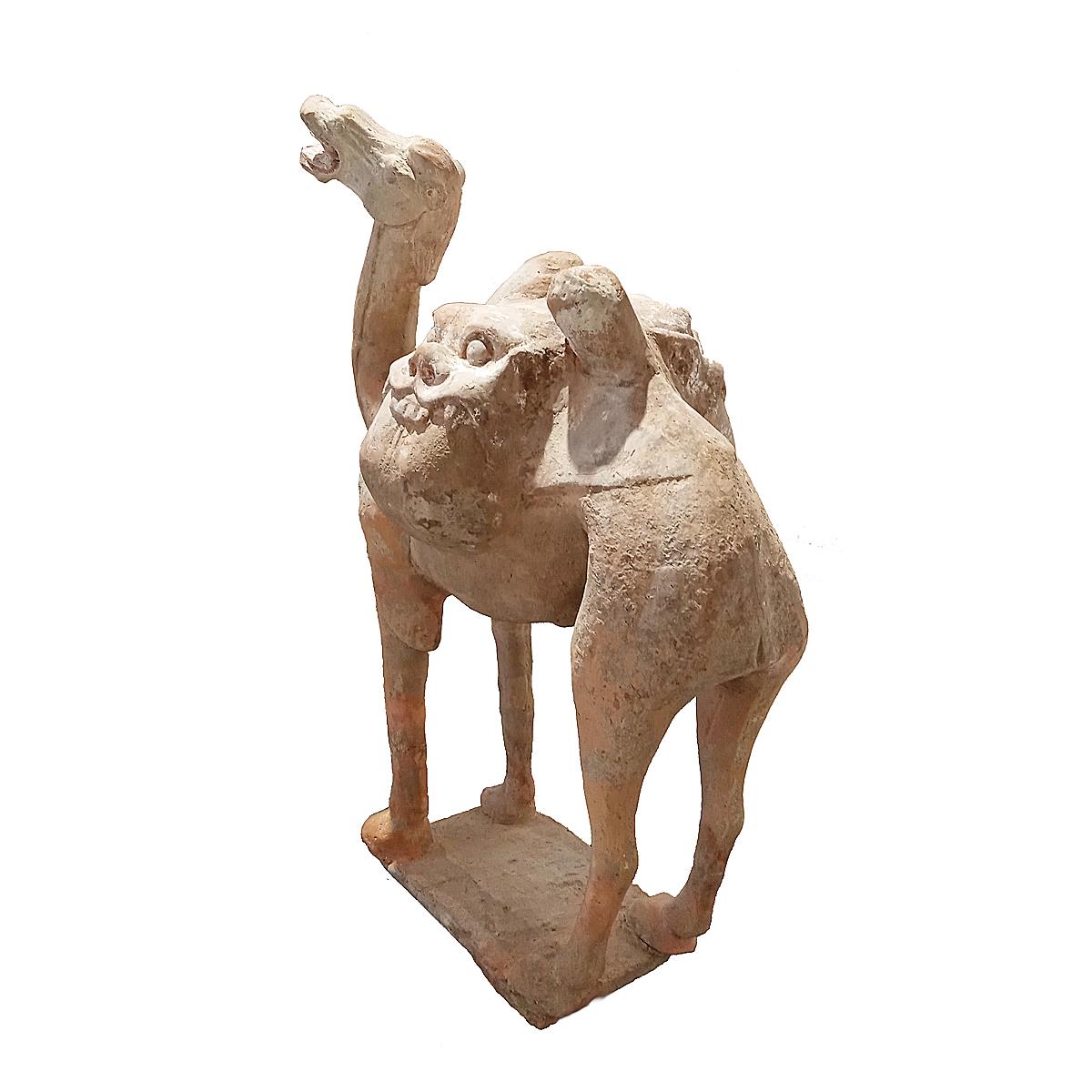 Tang Dynasty Terracotta Camel Sculpture, 1st Century For Sale 1