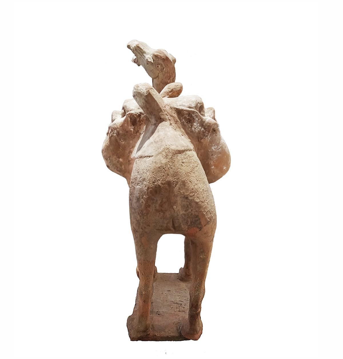 Tang Dynasty Terracotta Camel Sculpture, 1st Century For Sale 2