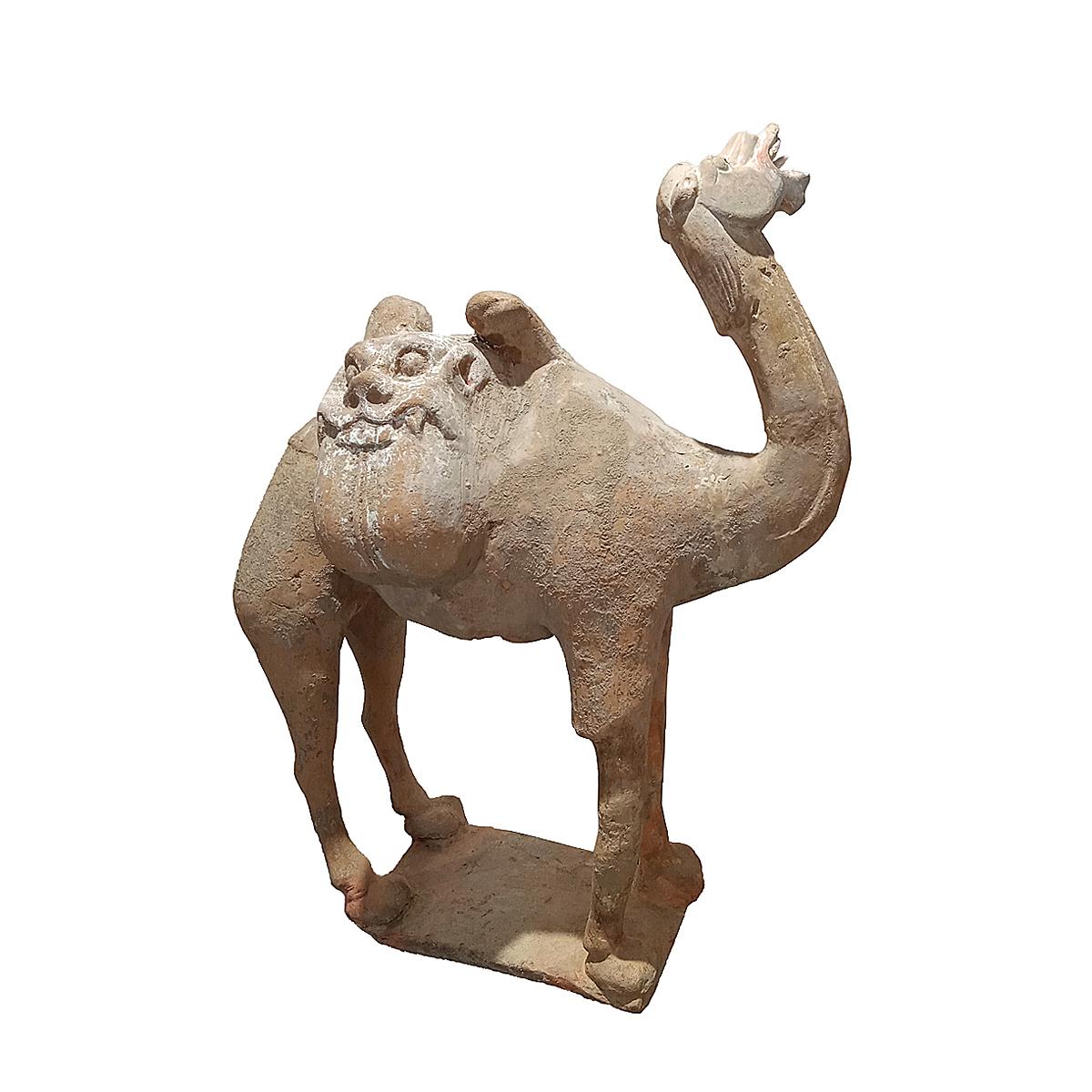 Tang Dynasty Terracotta Camel Sculpture, 1st Century For Sale 3