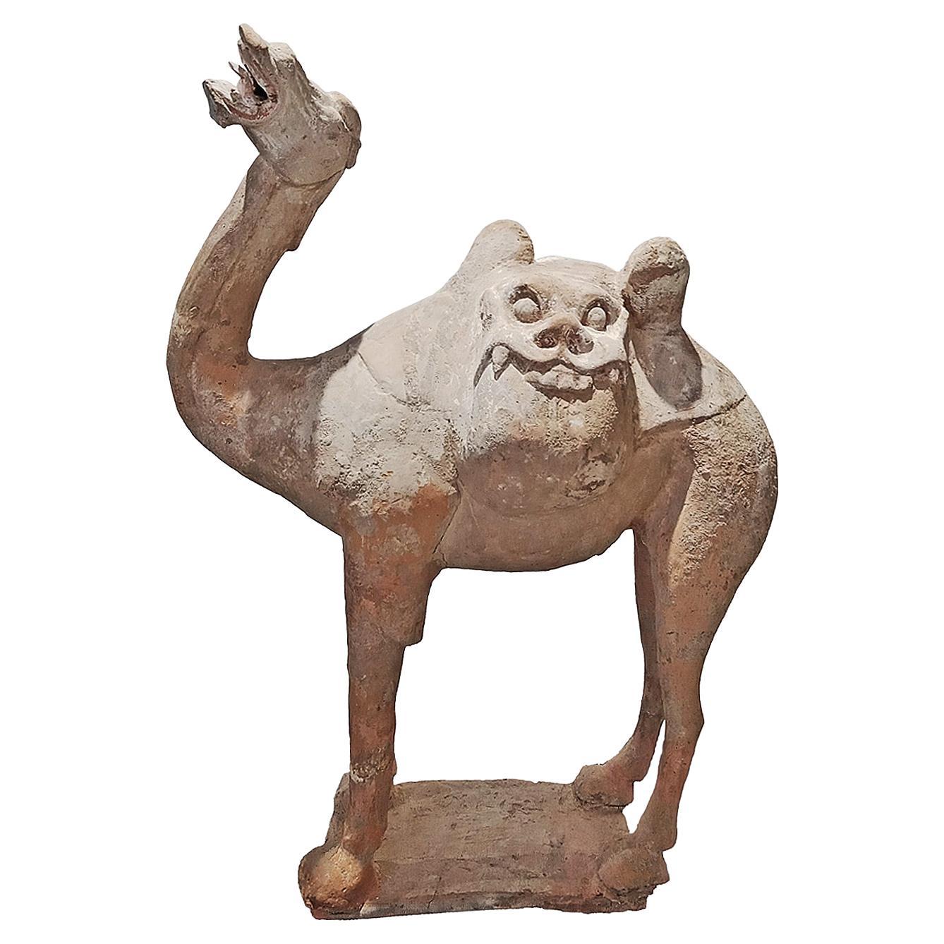Tang Dynasty Terracotta Camel Sculpture, 1st Century For Sale