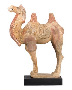 Tang Dynasty Terracotta Camel