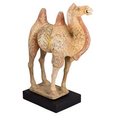 Tang Dynasty Terracotta Camel