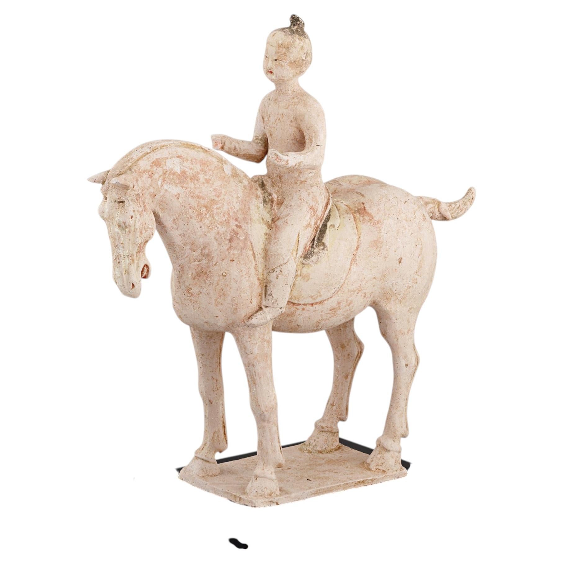 Cavallo in terracotta della Tang Dynasty con cavaliere