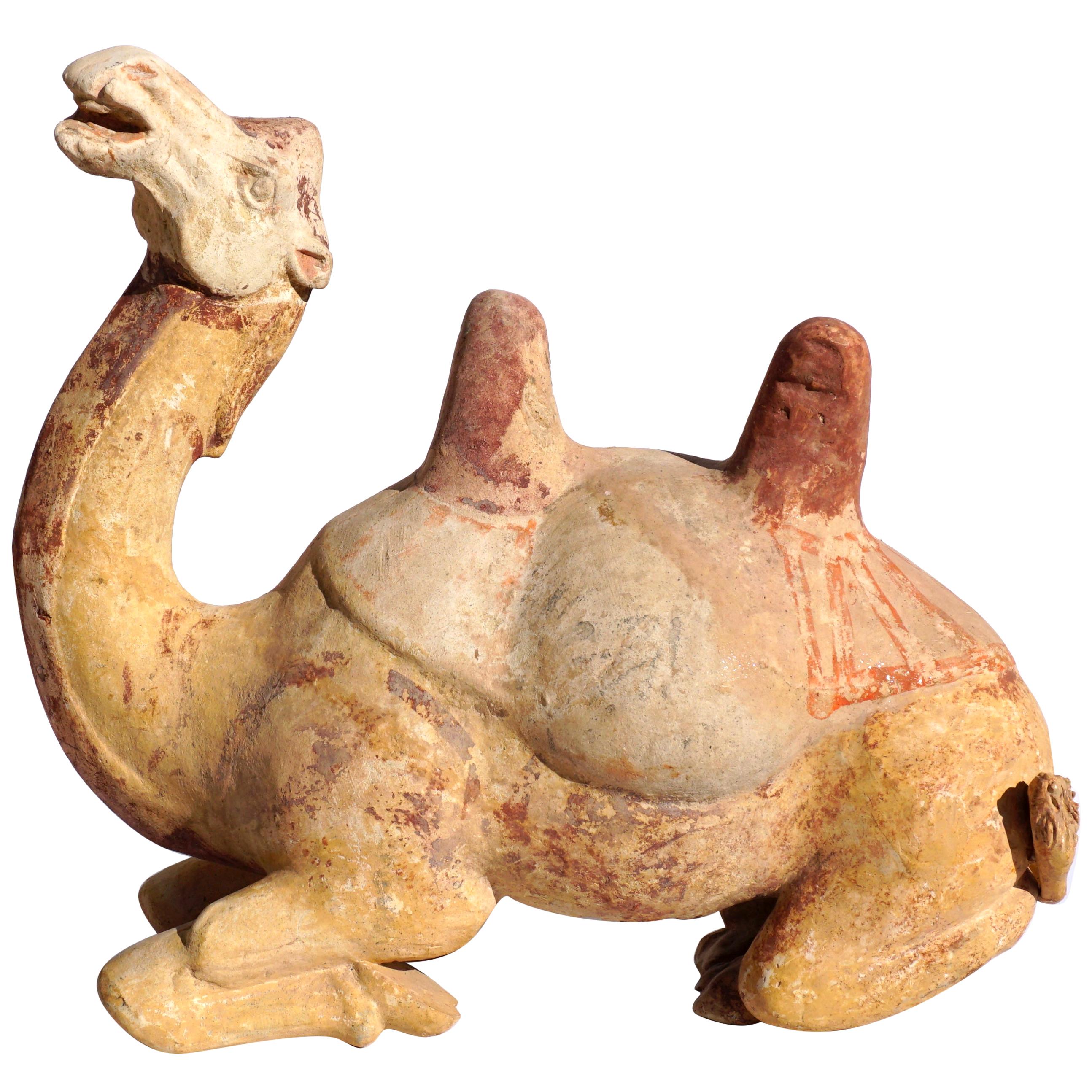 Tang Dynasty Whimsical Bactrian Camel Sculpture