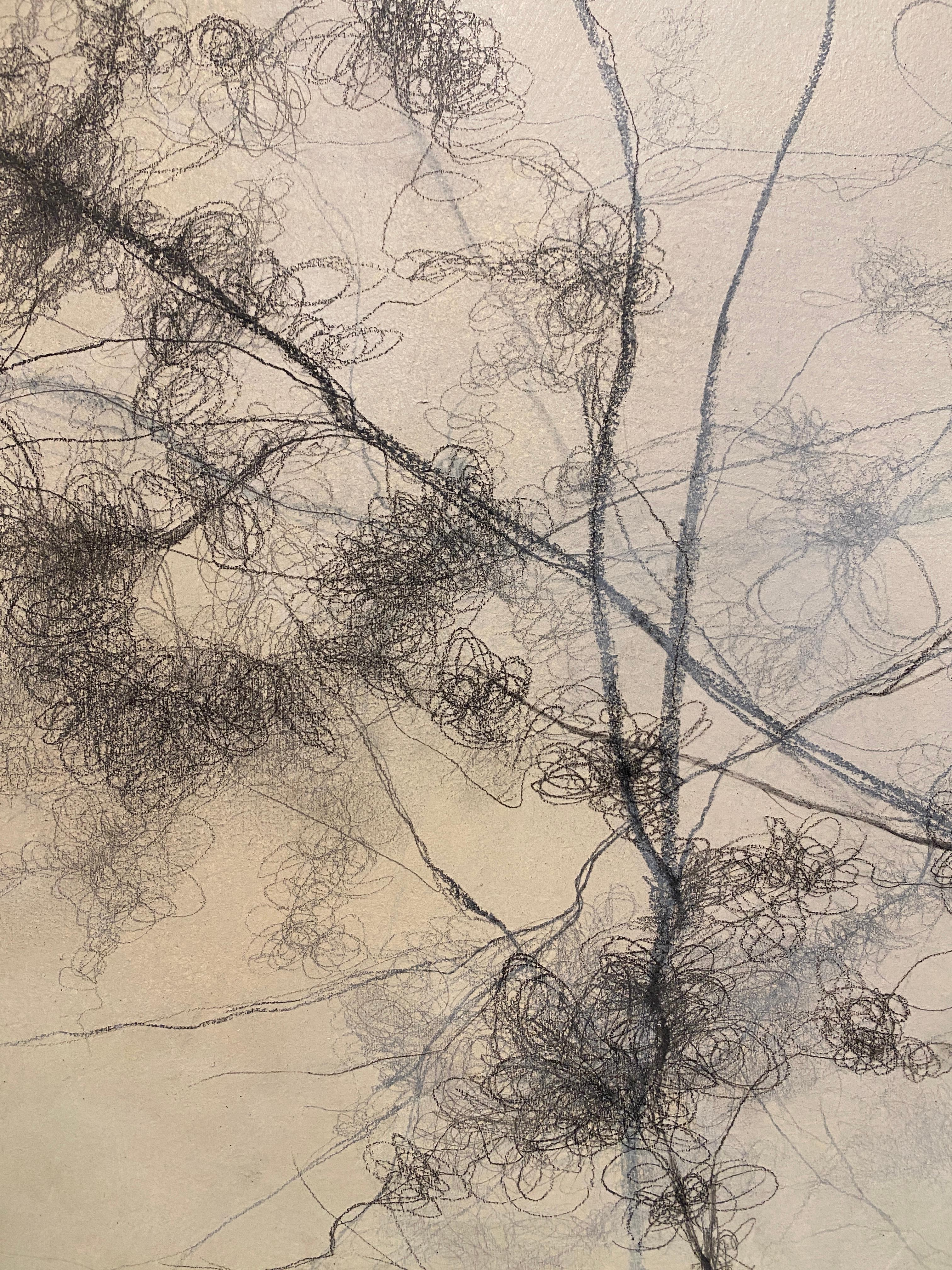 Entangled, abstract, contemporary, black and white, drawing, painting - Painting by Tania Dibbs