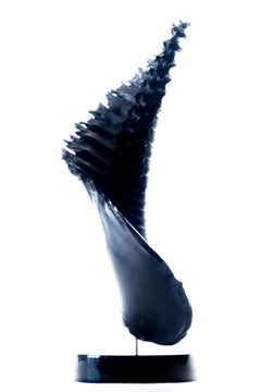 Abstract Sculpture: 'Black Oyster'
