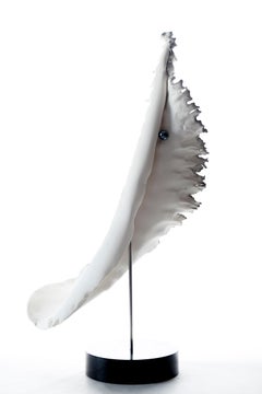 Abstract Sculpture: 'White Oyster'