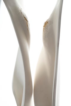 Ceramic Porcelain, Sugi Wood, Abstract Sculpture: 'Intimacy Version Two'