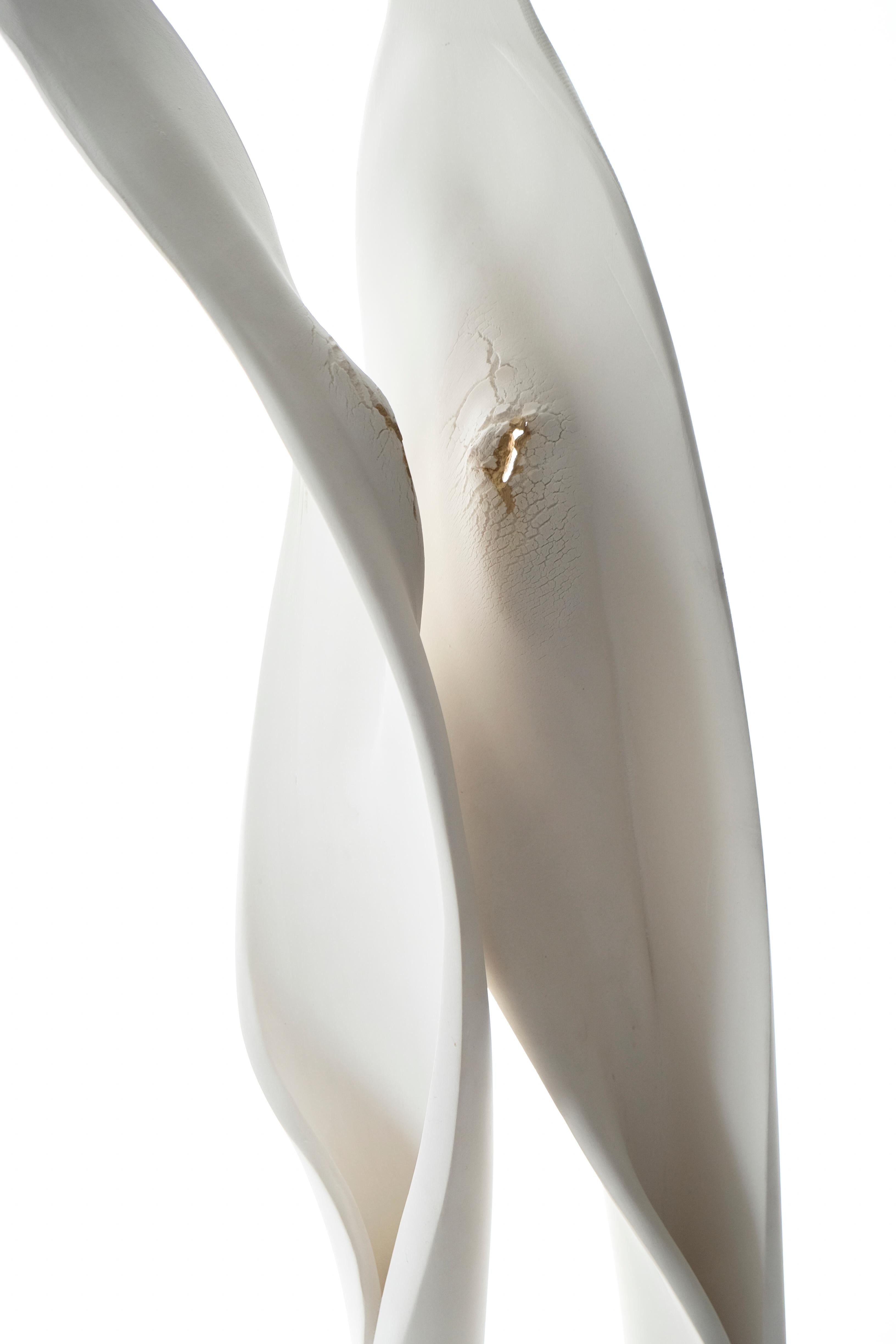 Porcelaine céramique, bois de Sugi, sculpture abstraite : « Version deux d'intimité » - Contemporain Sculpture par Tanis Saxby