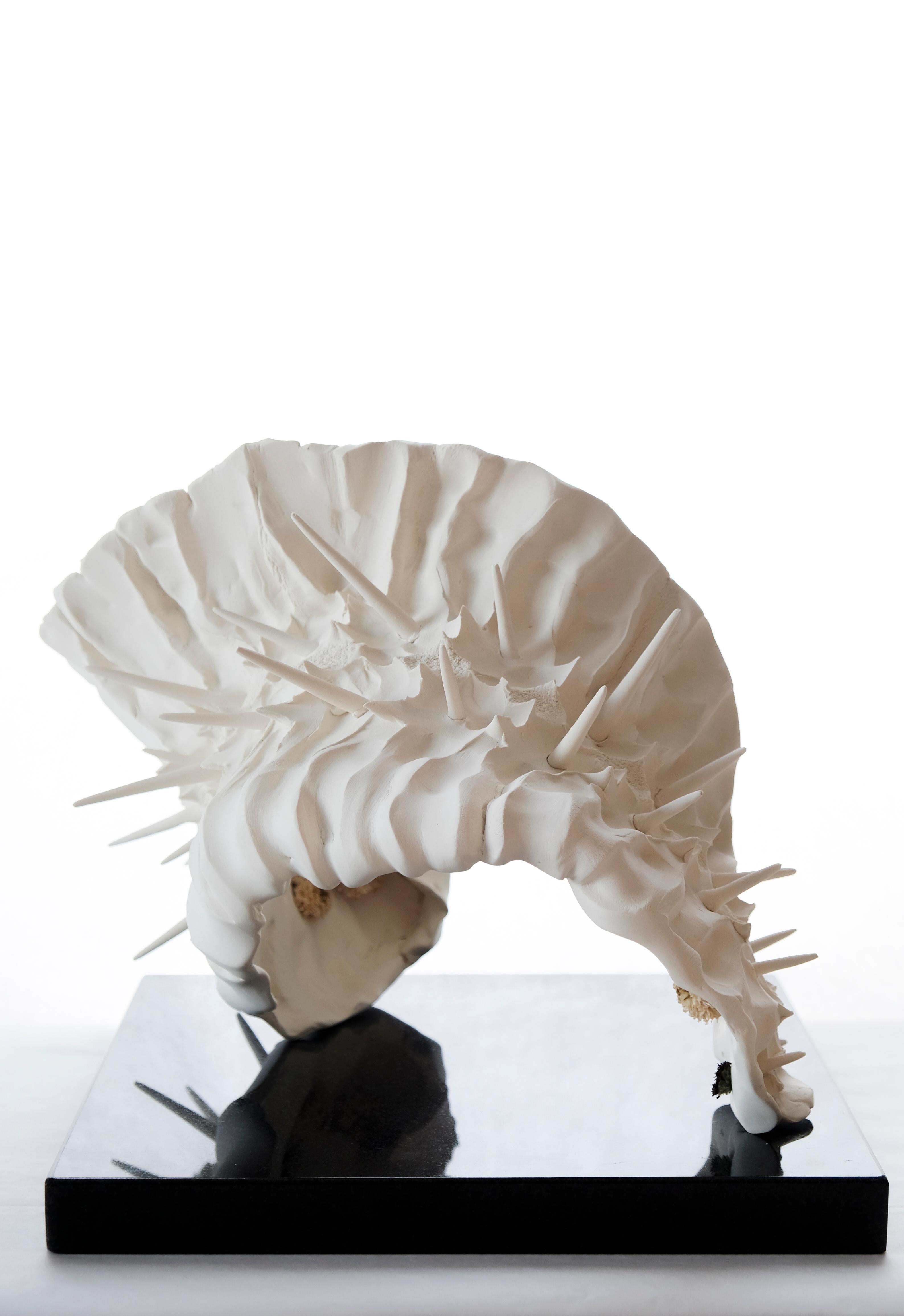 Sculpture en porcelaine : « Cerf-pillar » - Gris Abstract Sculpture par Tanis Saxby