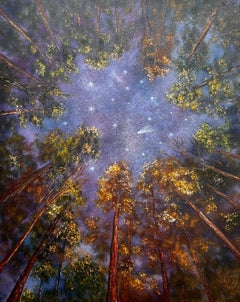 Nocturne céleste