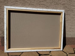 Poppies in the heart