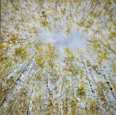 The Silent of the Forest (Le silence de la forêt)