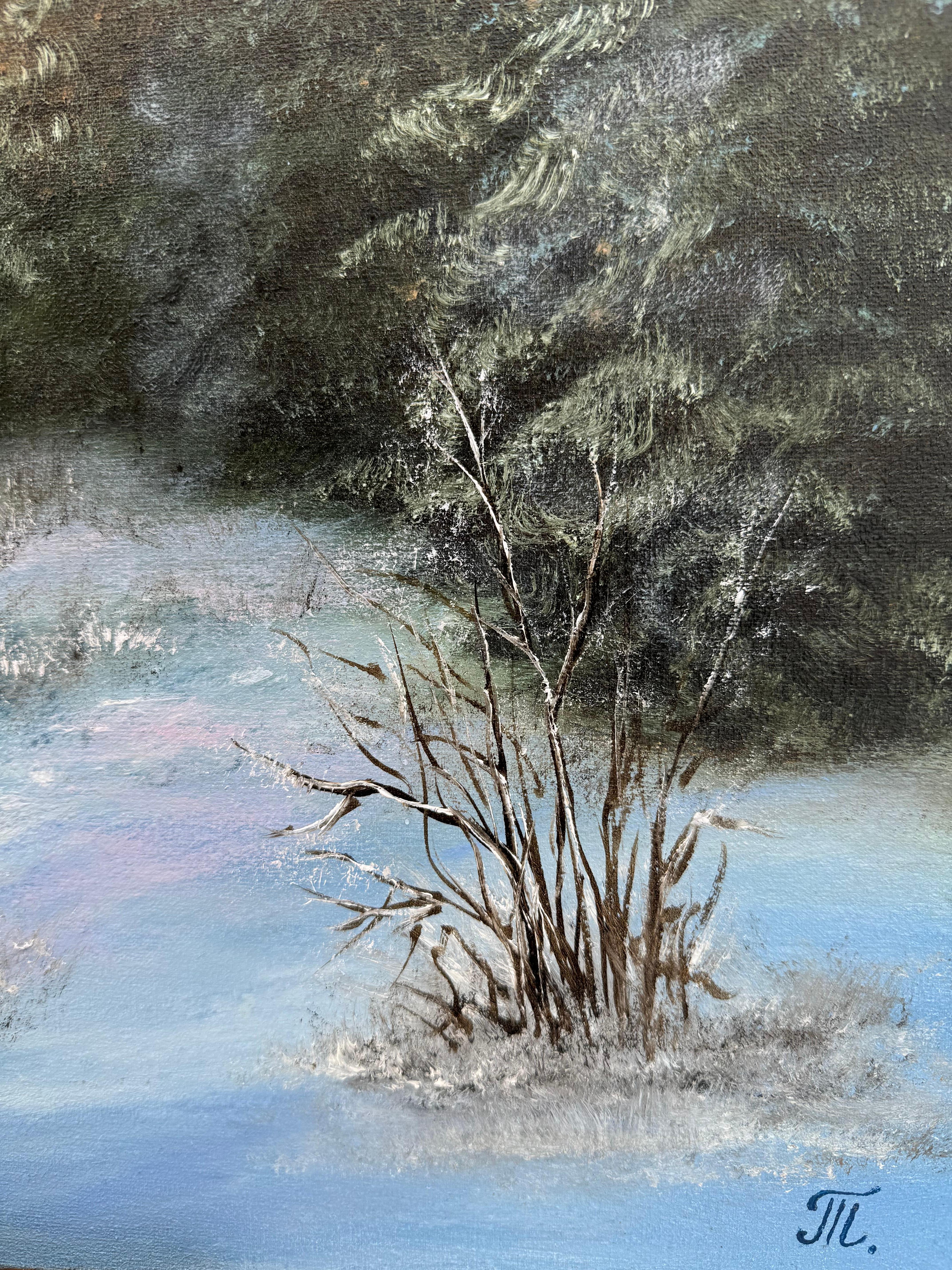 Winter Serenity For Sale 2