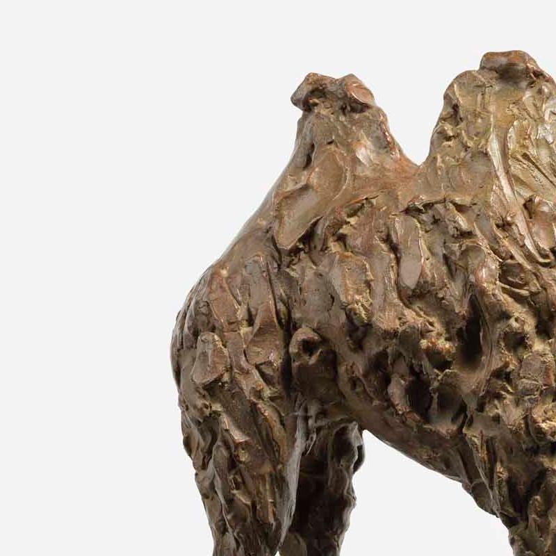 Camel - 21st Century, Contemporary, Bronze, Figurative Sculpture by Tanya Brett 3