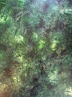 "Verde 31"