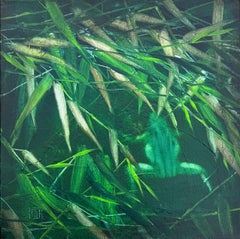 "Hidden frog"