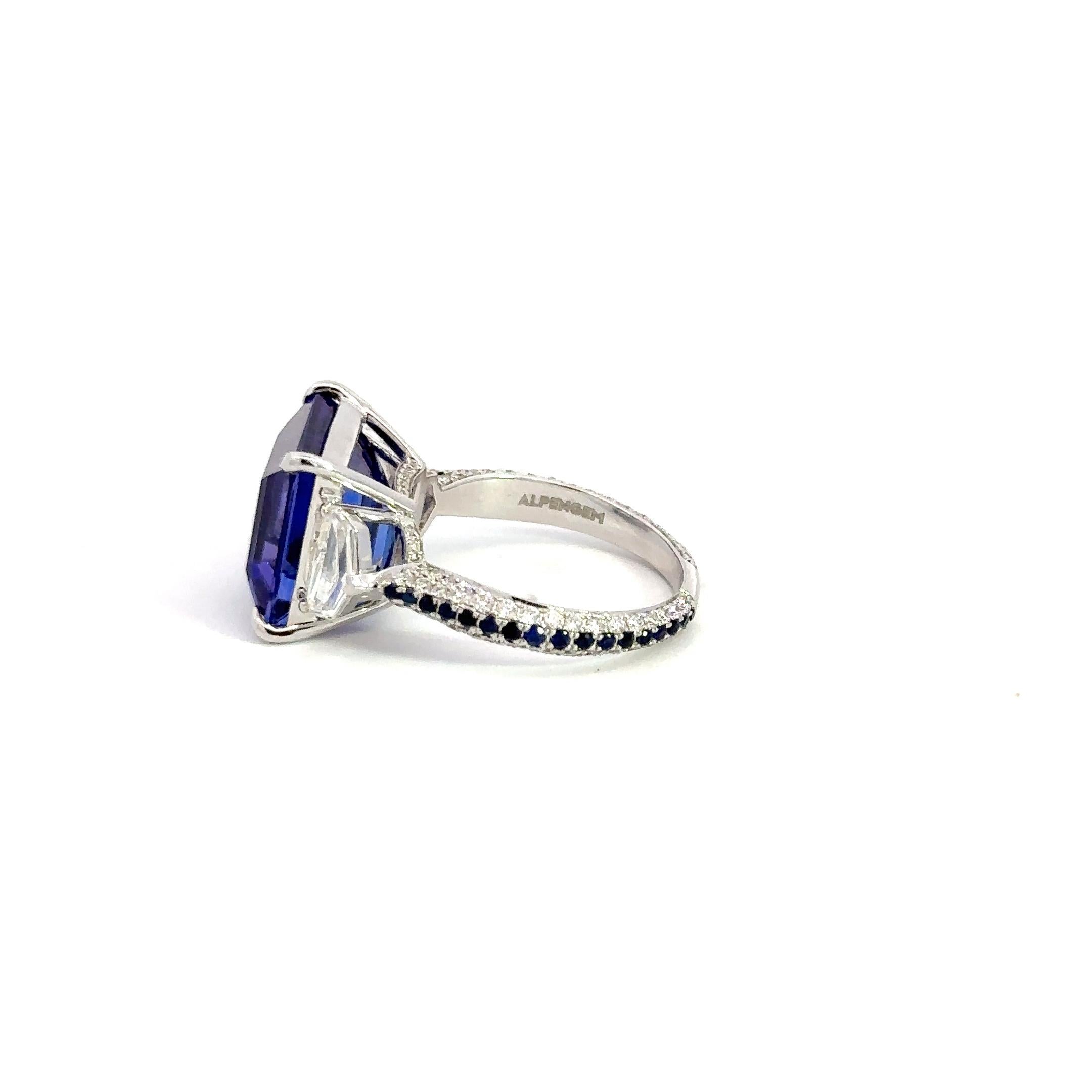 Ring

18K White Gold;

Blue Sapphire 34/0.32 ct

Tanzanite 1/9.75 ct

Round diamonds 98/1.439 ct

Side diamonds 2/0.91ct


With a heritage of ancient fine Swiss jewelry traditions, NATKINA is a Geneva based jewellery brand, which creates modern