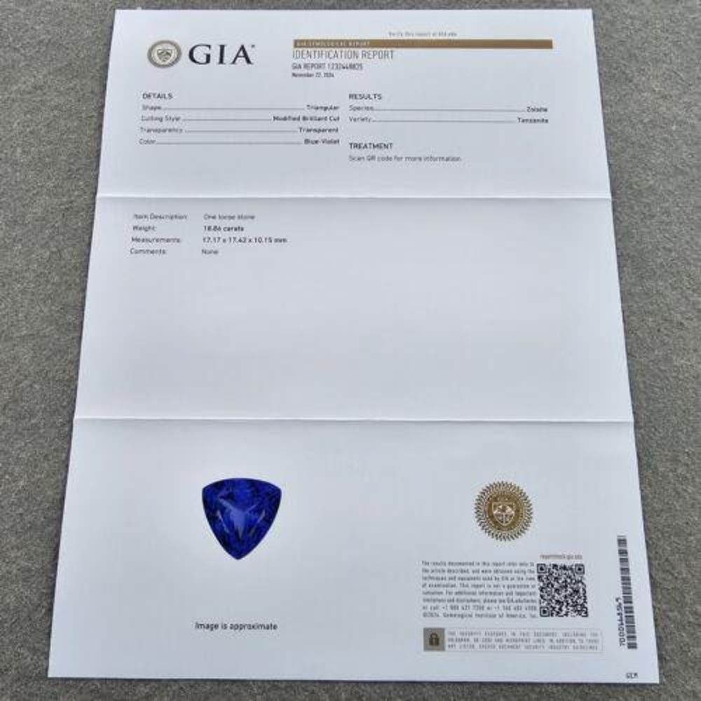 Ciondolo con diamante tanzanite GIA 18,86ct Triangle Spark Oro bianco 18k in vendita 2