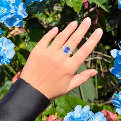 Tansanit 3,3 Karat 14K Weißgold Ring Diamanten