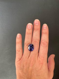 Tanzanite Ring Gem 12.33 Carat Unmounted Oval Loose Gemstone