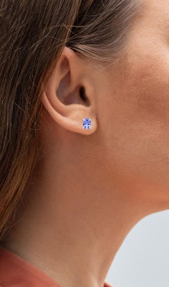 Tansanit Solitär Ohrstecker 1,4 Karat Rhodiniertes Silber