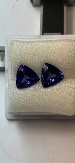 Tansanit-Ohrstecker aus 14k Gelbgold