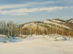 Tao Yu Landschaft Original Öl auf Leinwand "Erster Schnee auf Guiji I"