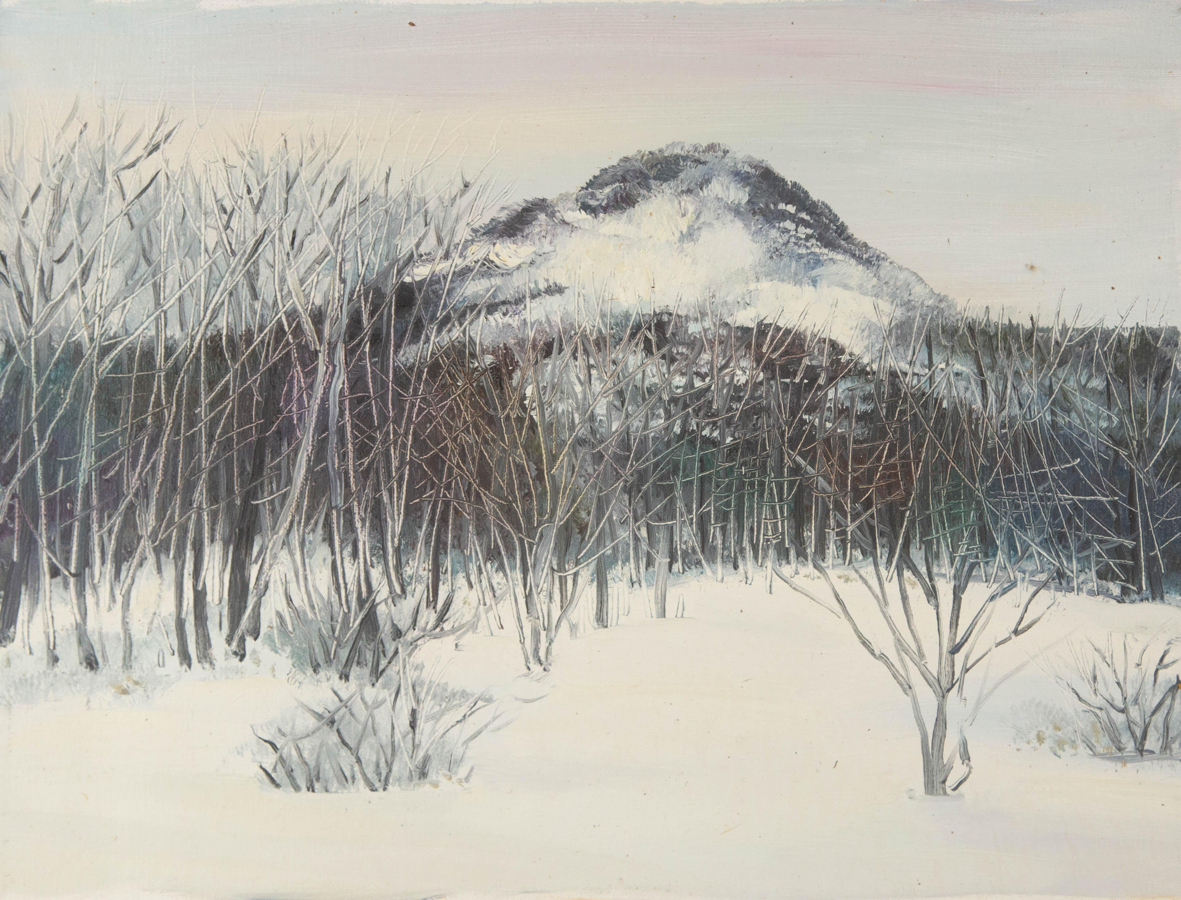  Título: Primeras nieves en Guiji III
 Técnica: Óleo sobre lienzo
 Tamaño: 11,5 x 15,5 pulgadas
 Marco: Opciones de enmarcado disponibles
 Estado de conservación: El cuadro parece estar en excelentes condiciones.
 Nota: Este cuadro no está estirado,