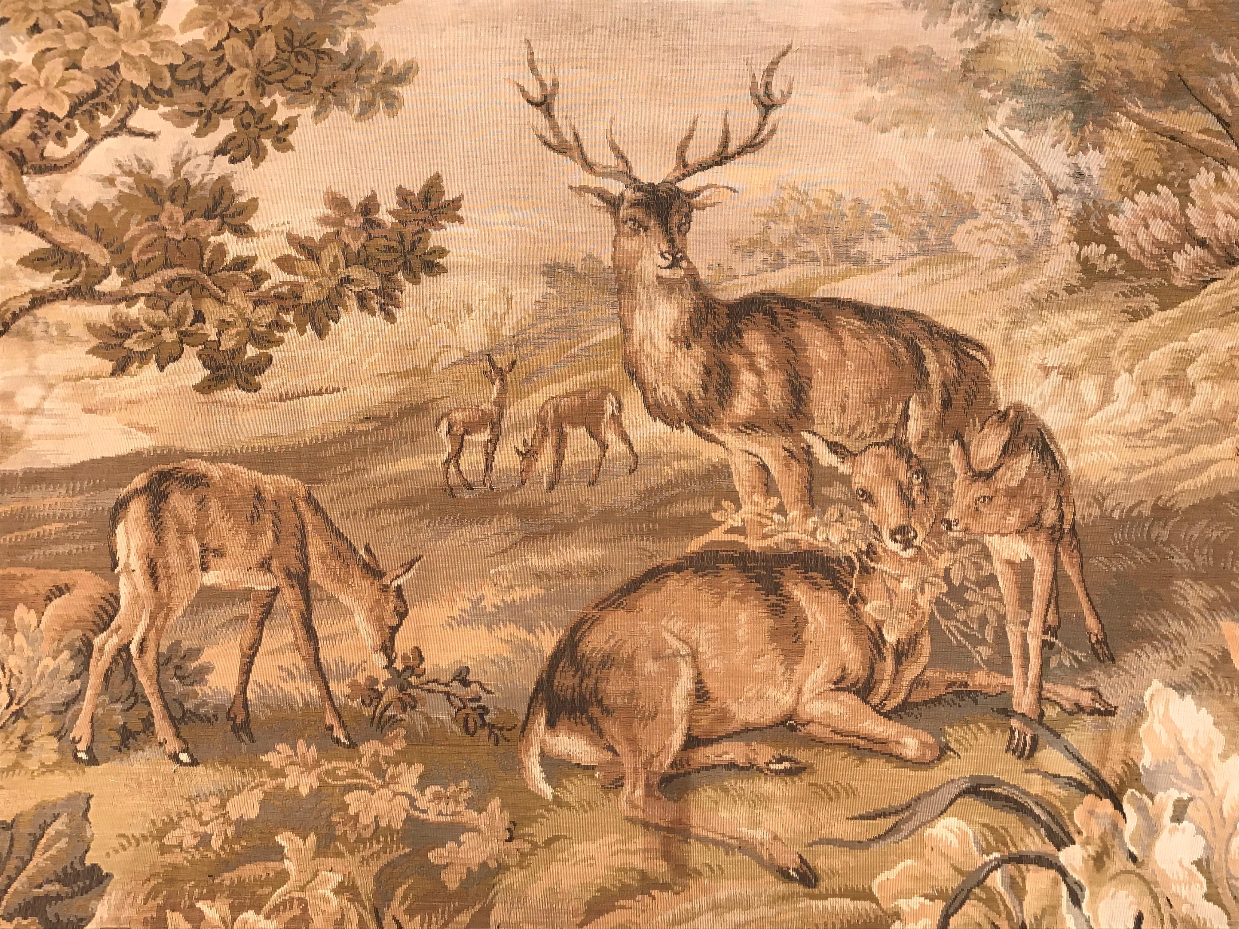 woodland stag new world