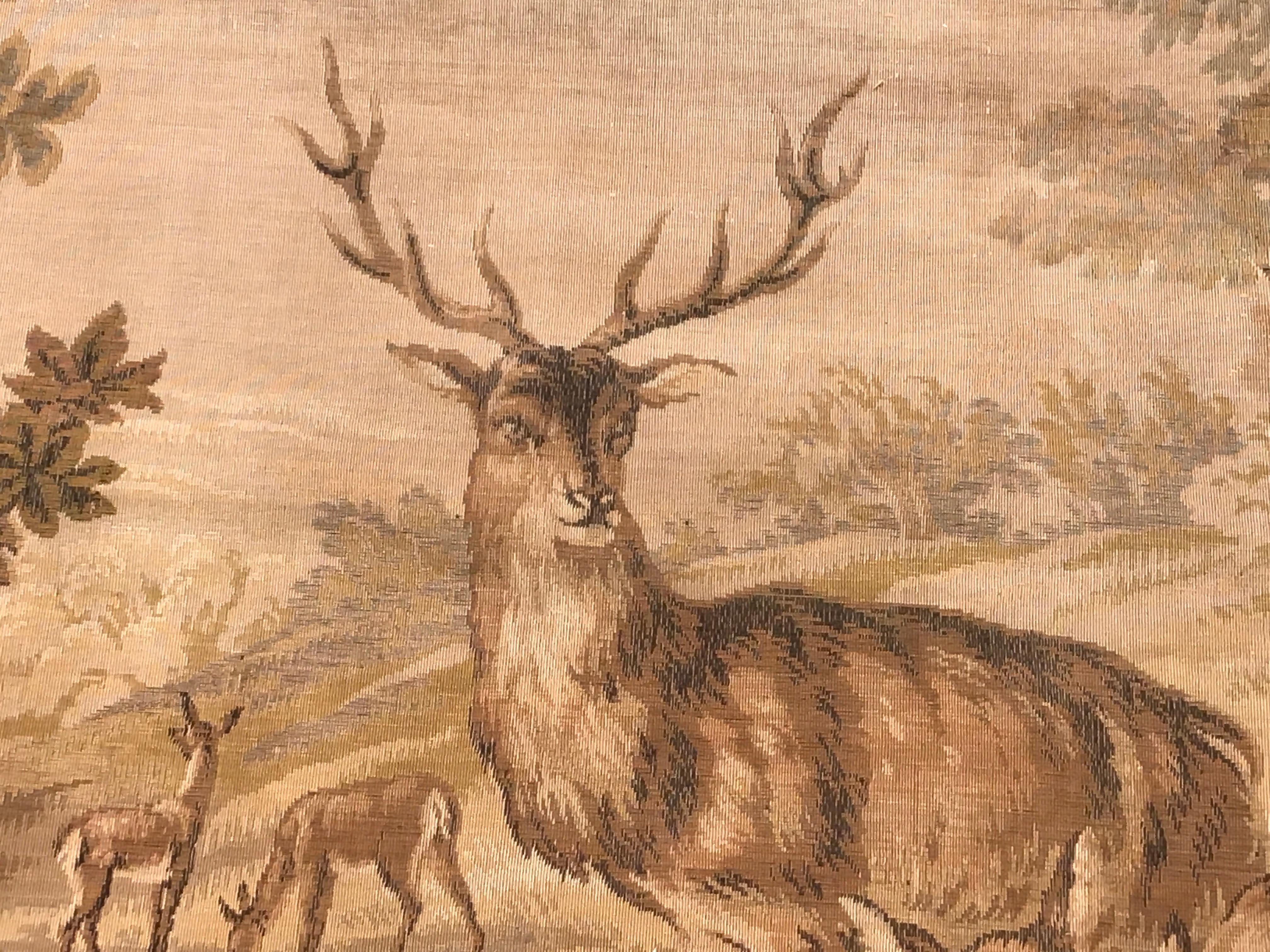 new world woodland stag