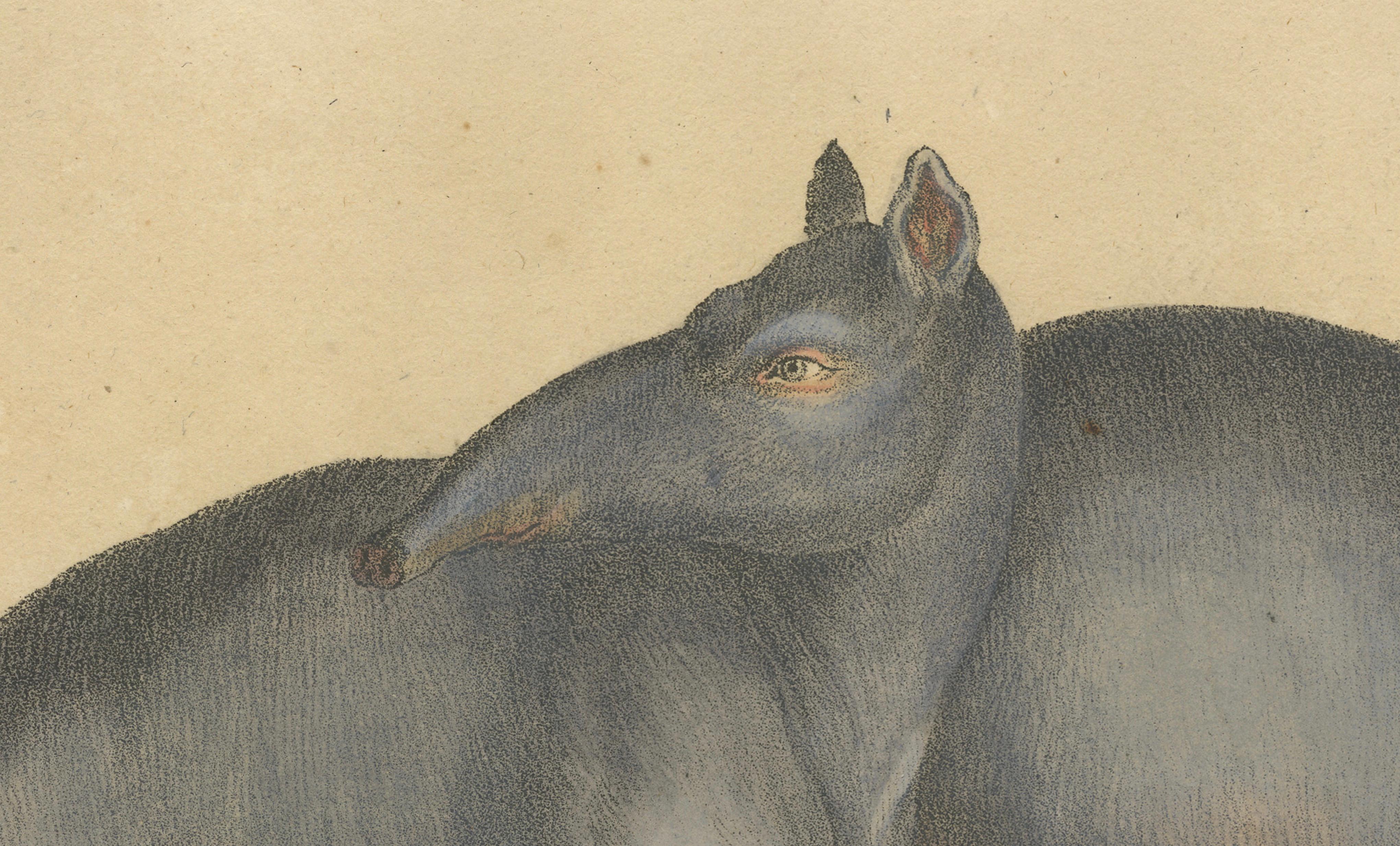 Tapir Family with Juvenile in Tropical Wetland, Brodtmann, 1816