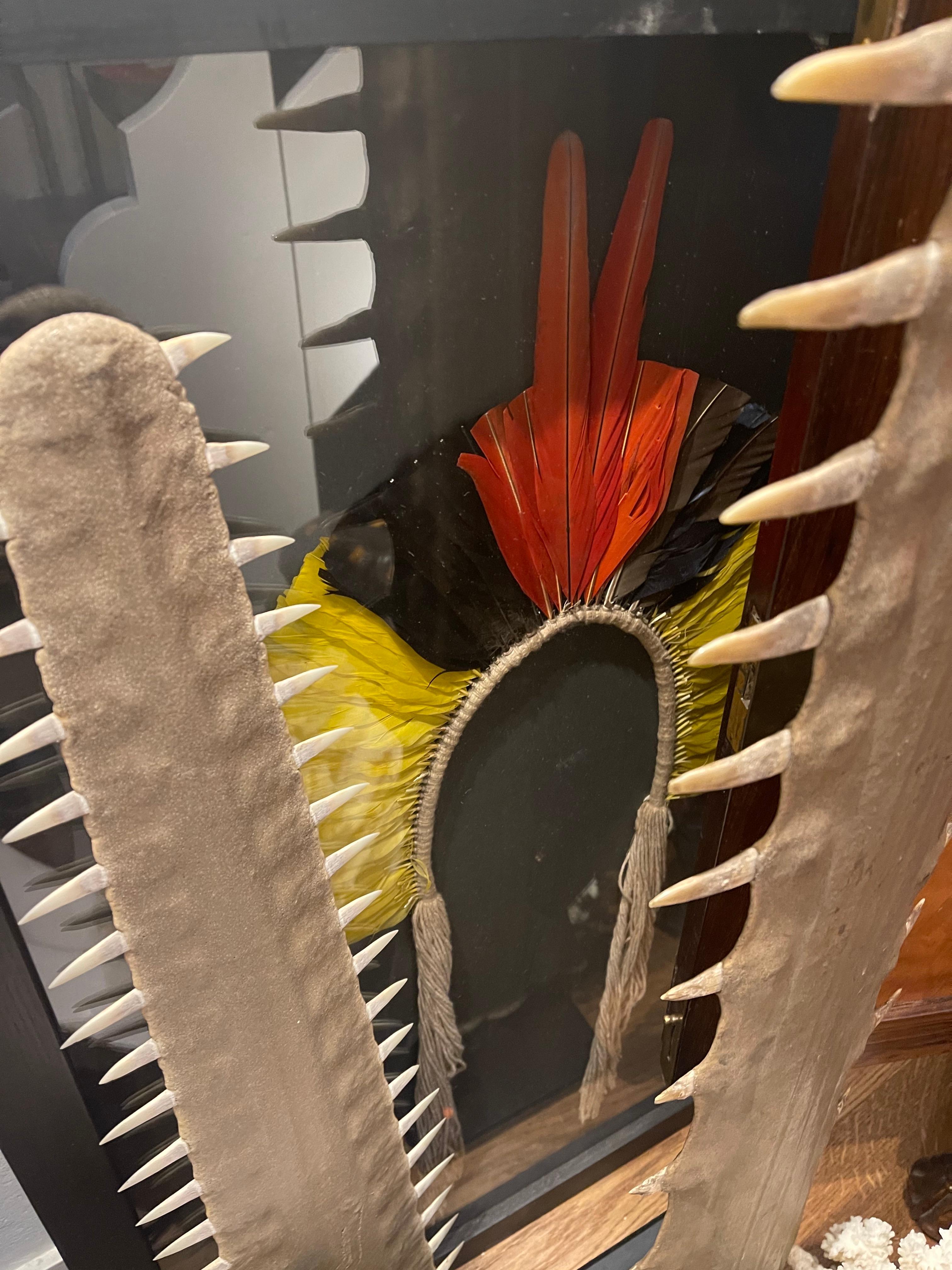 Tapirapé Upé Enemy Warrior Feather Mask headdress, Indigenous Brazil 2