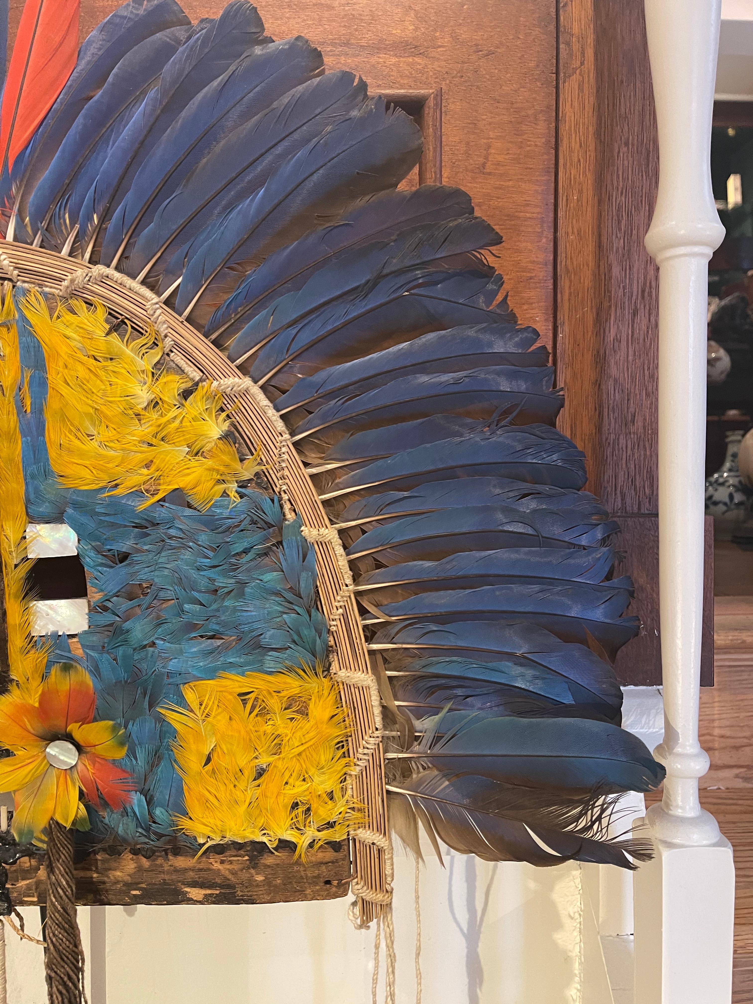 brazilian native headdress