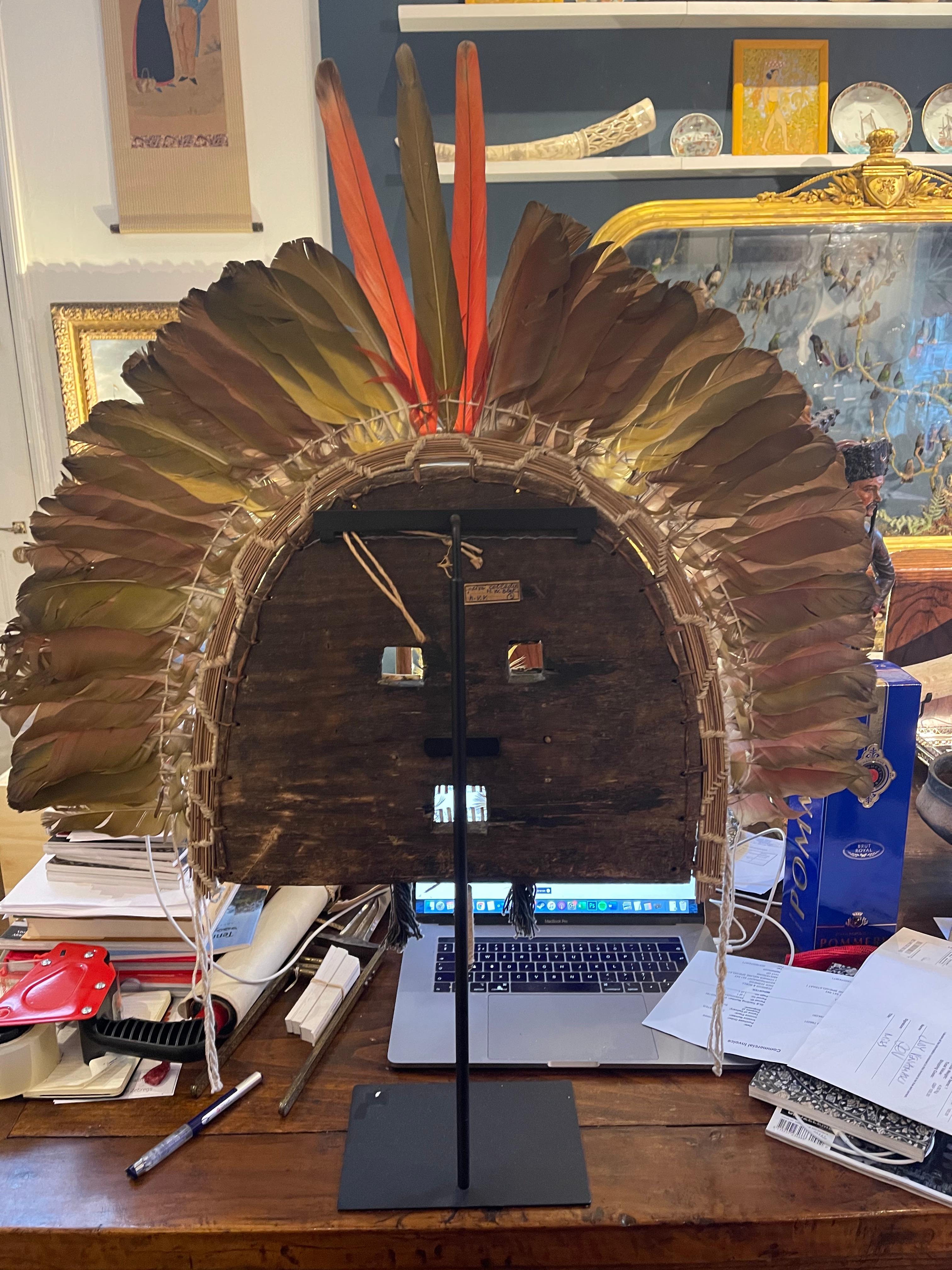 Native American Tapirapé Upé Enemy Warrior Feather Mask headdress, Indigenous Brazil
