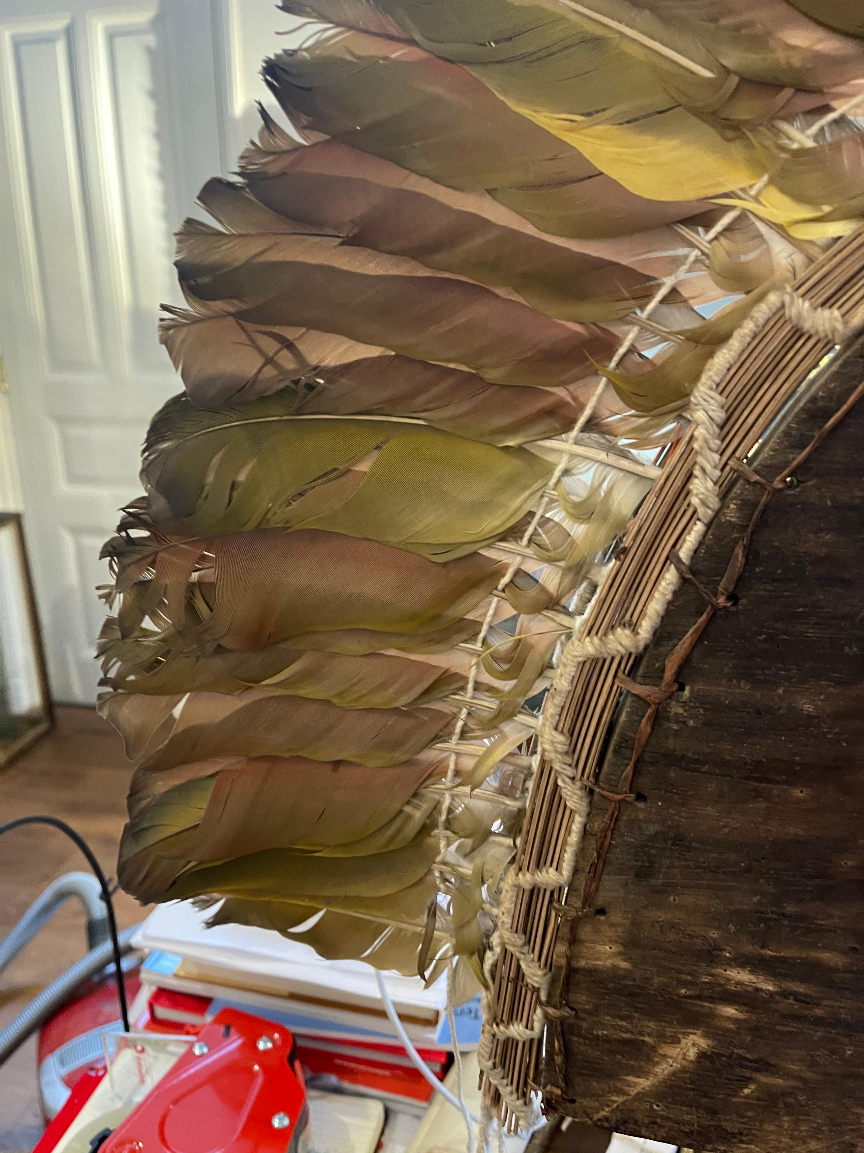 Hand-Woven Tapirapé Upé Enemy Warrior Feather Mask headdress, Indigenous Brazil