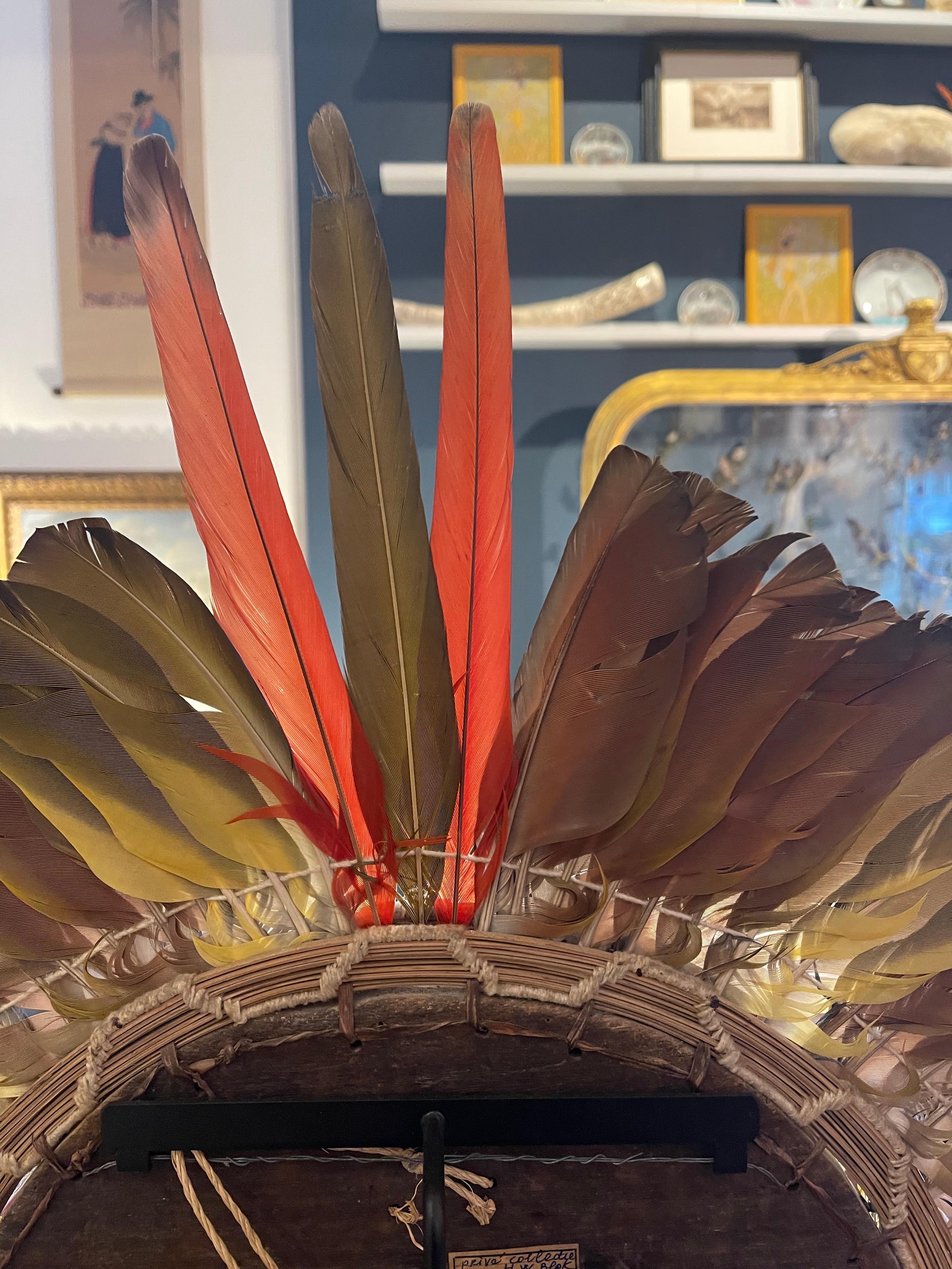 Tapirapé Upé Enemy Warrior Feather Mask headdress, Indigenous Brazil In Good Condition In Amsterdam, NL