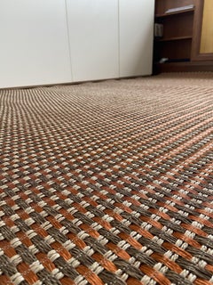 Umber / Natural Fiber and Copper Handcrafted Area Rug 6'7"x9'10" by Tapistelar