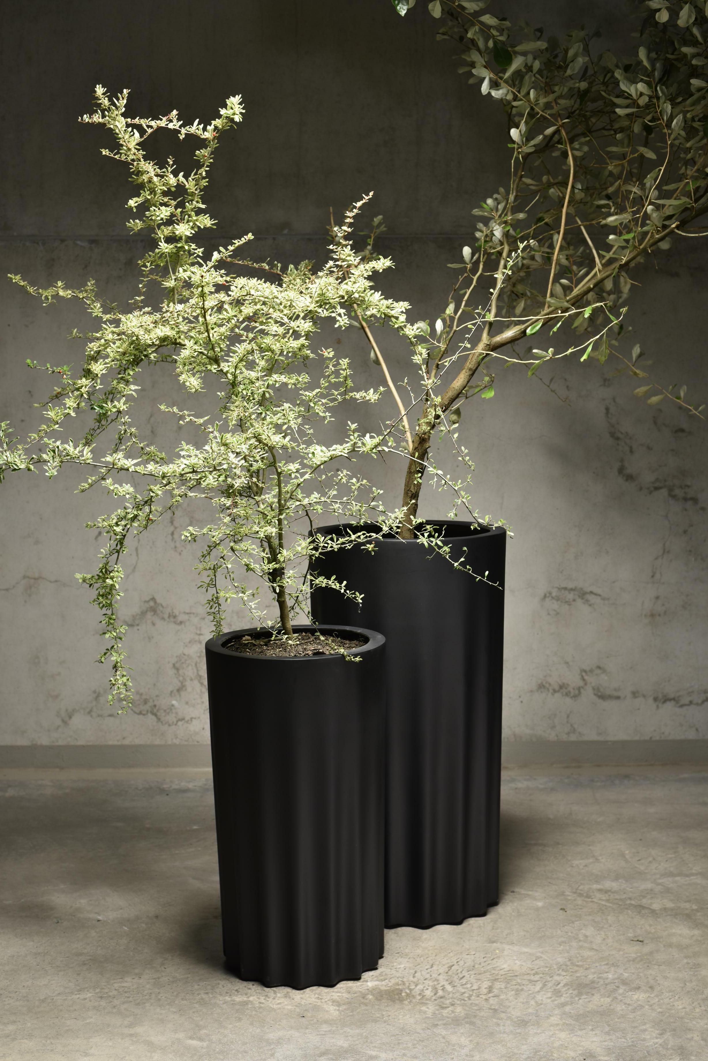 La Jardinera Grande Tapita es una jardinera moderna y elegante fabricada con fibra de vidrio de alta calidad, conocida por su durabilidad, ligereza y aspecto elegante.

La construcción en fibra de vidrio permite que la jardinera soporte diversas