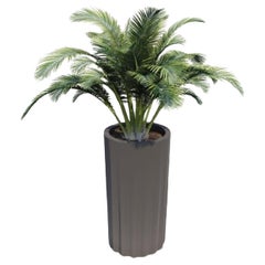 Fiberglass Planters and Jardinieres