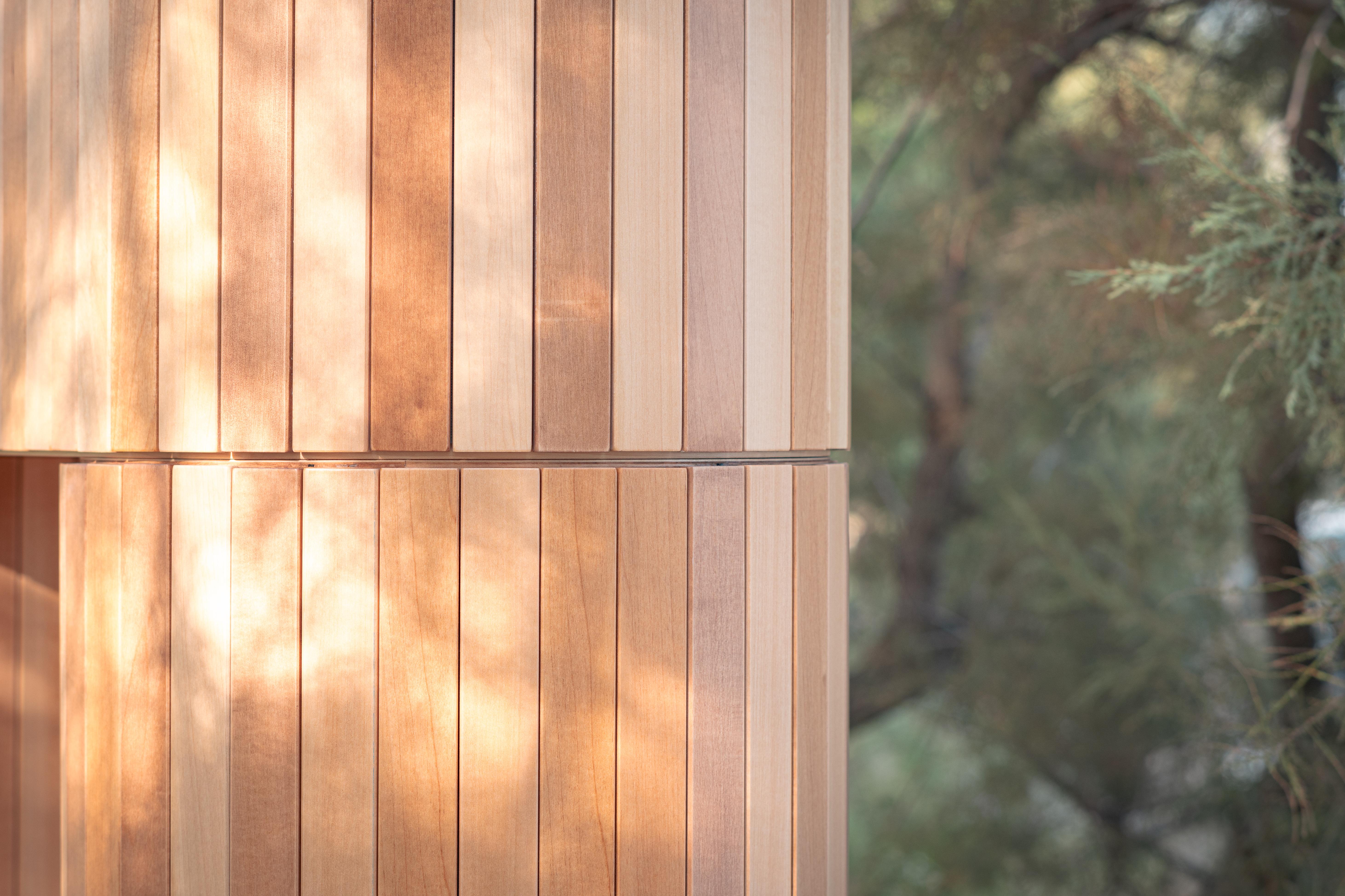 Legno Tapparella cabinet, in basswood and walnut, by Cara Davide for Medulum in vendita