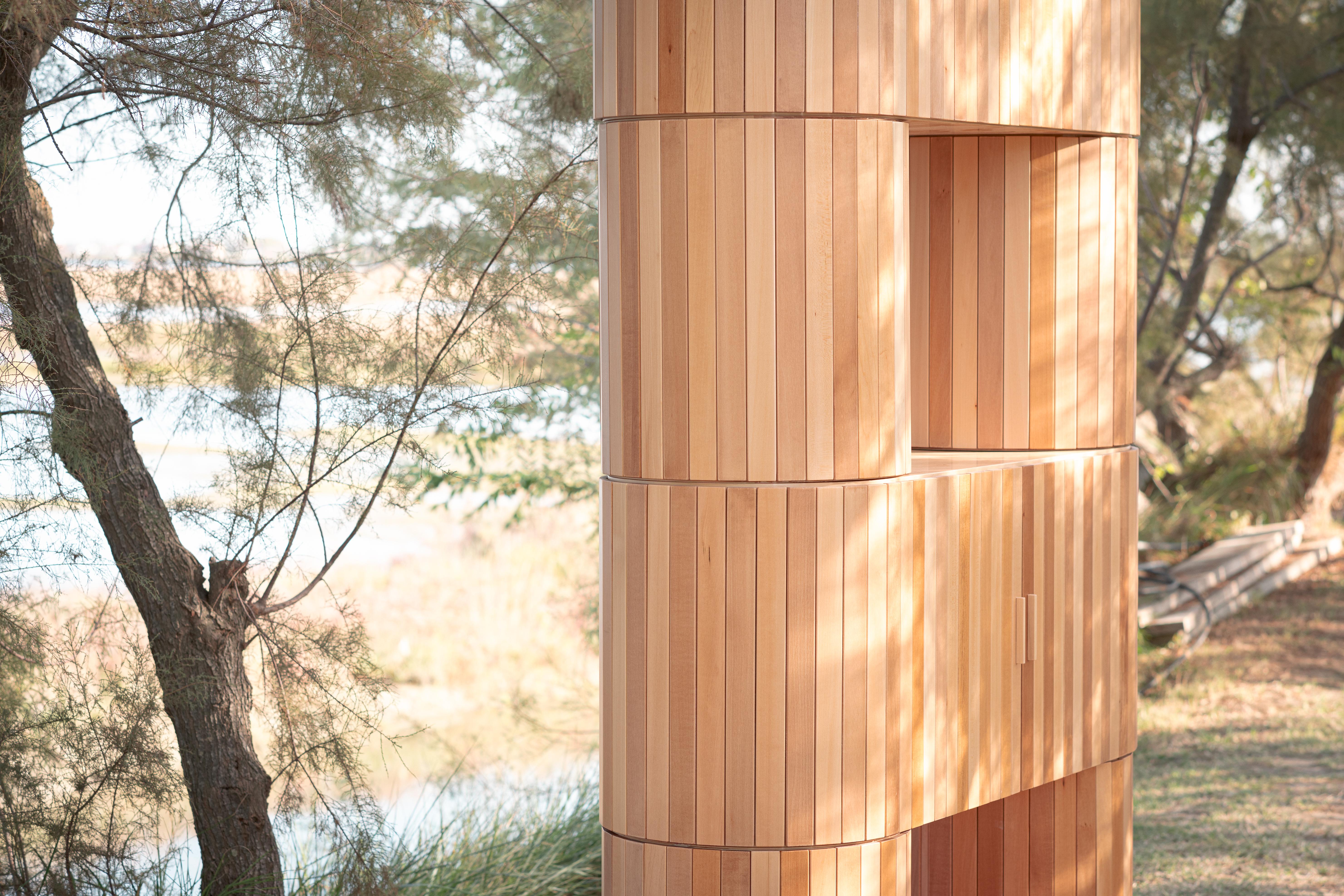 Tapparella cabinet, in basswood and walnut, by Cara Davide for Medulum in vendita 1