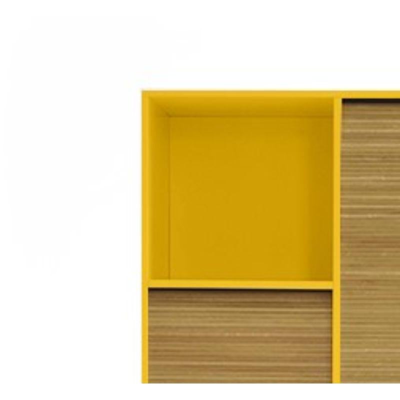 Modern Tapparelle Large Cabinet, Mustard Yellow by Colé Italia