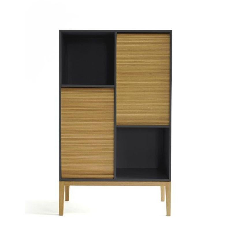 Contemporary Tapparelle Medium Cabinet, Black by Colé Italia For Sale