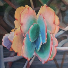 Tara Esperanza - Magic Hour Visitor Magic Hour Visitor